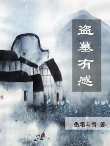 超级悍匪系统